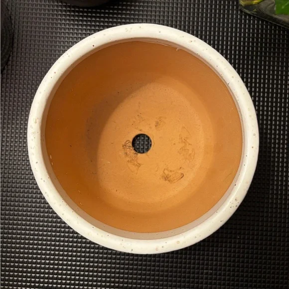 6” Speckled Pink and Cream Ceramic Planter - Picture 4 of 5